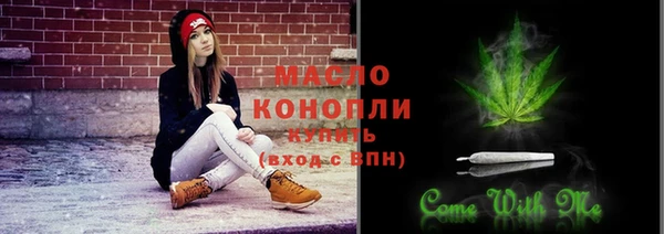 гашик Богородск