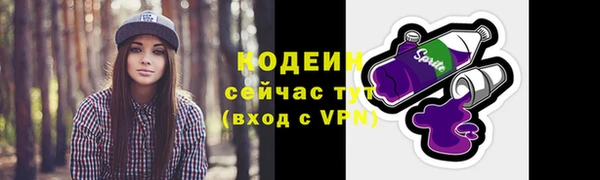 гашик Богородск
