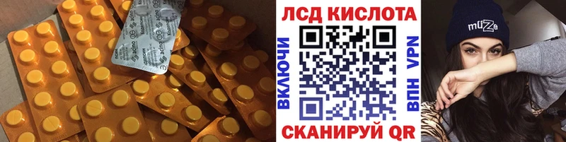 дарнет шоп  Армавир  ЛСД экстази кислота 