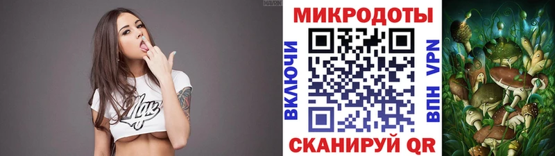 Псилоцибиновые грибы Psilocybine cubensis  Армавир 